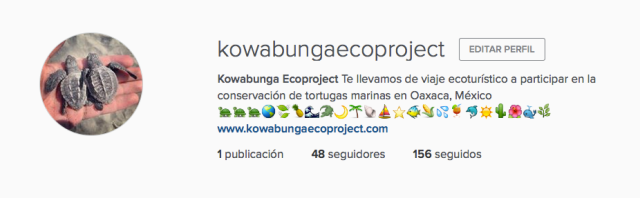 kowabunga-ecoproject-instagram
